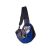 Blue pet carrier backpack for small dogs and cats
