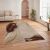 Conceptum Hypnose Carpet HM-CRP25-29 (100 x 140) Sokszínű szőnyeg tágas szobában fa padlóval, kanapéval és nagy ablakkal, bemutatva a szőnyeg mintáját barna levelekkel és arany kerettel