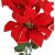 Közelkép egy élénk piros bársony mikulásvirág csokorról, arany csillámos élekkel, ideális karácsonyi dekorációhoz