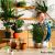 Kotarbau 40 cm-es kókusz-műanyag növénytámasz egy fiatal nővel egy növényekkel teli szobában, bemutatva a növénykaró beltéri használatát.