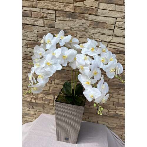 Kocka padlóvázás orchidea(bézs/fehér) színben  kb 1 méteres KASPÓ KOCKA BÉZS RATTAN 45586327