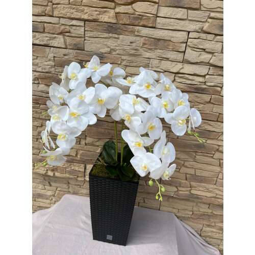 Kocka padlóvázás orchidea(bézs/fehér) színben  kb 1 méteres KASPÓ SÖTÉTBARNA RATTAN 45586342