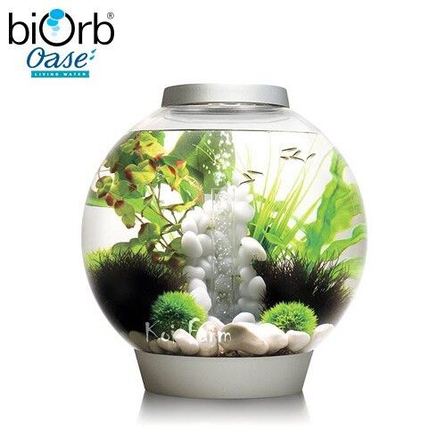 biOrb Classic 30 literes ezüst LED akvárium szett átlátszó gömbölyű akril tartállyal, belső szűrőrendszerrel, kis halakkal, zöld és fehér vízi növényekkel, valamint fehér kavicsos aljzattal, fehér háttéren elszigetelve - Akvárium