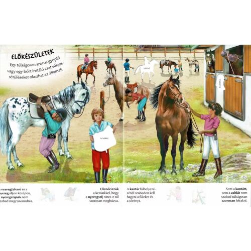 Milyen érdekes a világ… Lovak 177073064 - Matricás foglalkoztató füzet