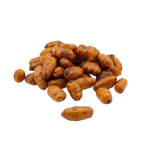 PRESIDENT'S HERB XXL tigrismogyoró csali