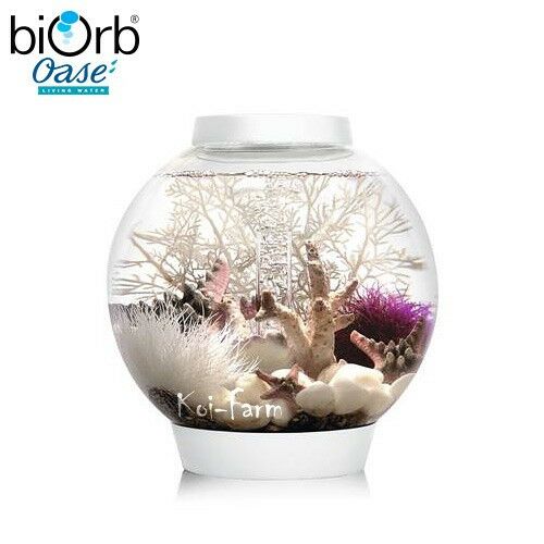 biOrb Classic 15 literes LED fehér gömb akvárium szett dekorációval fehér háttéren - Akvárium