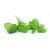 SUPER AROMAS Natural Light Menta ételaroma (koncentrátum) 100 ml 177638751
