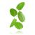 SUPER AROMAS Ételaroma Menta Fodormenta 10ml 177768434