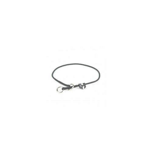 Julius-K9 Kiképző nyakörv (fojtó) 60 cm-ŐSZI ÁRZUHANÁS 177964055 - Rágcsálótartás