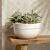 Tál (22 cm) Perlemor Sand Villeroy & Boch 178284479