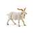 Bullyland Bakkecske játékfigura, white goat figurine, farm animal toy