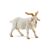 Bullyland Bakkecske Goat Figurine - 7.7 cm, realistic animal toy
