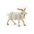 Bullyland Bakkecske játékfigura, white goat figurine, farm animal toy