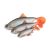Fox rage ultra-realistic roach replicant 18cm - 80g/#1/0 swimbait 178967356