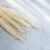 Mini Pampas Fű - Fehérített 179302677