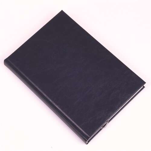 Blue RealSystem 2024 daily planner, B/5 format, with white pages