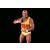 WWE Hulk Hogan 71958 179495967