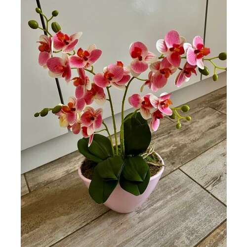 2 szálas rózsaszín orchidea kerámia kaspóban