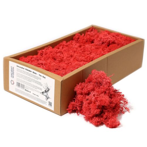 Minőségi Dekorációs Moha - Piros - 500g 179849396 - Lakásdekoráció