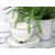 2 db fehér porcelán csésze ezüst elemekkel ajándékba 179992044