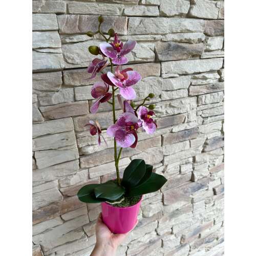 1 szálas orchidea rózsaszín 45869926
