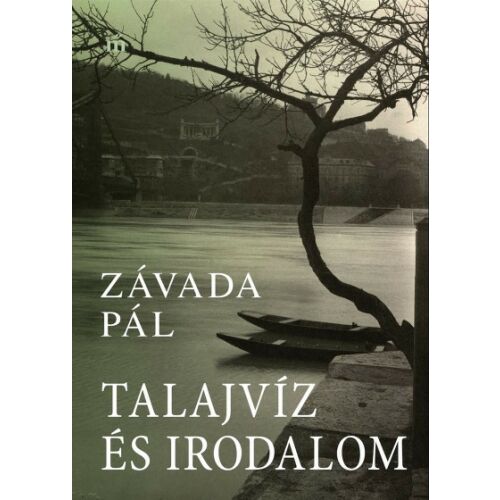 Talajvíz és irodalom 180755564 - Irodalom és költészet könyv