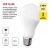 LED izzó Classic A60 / E27 / 14 W (120 W) / 1901 lm / Meleg fehér 180891270