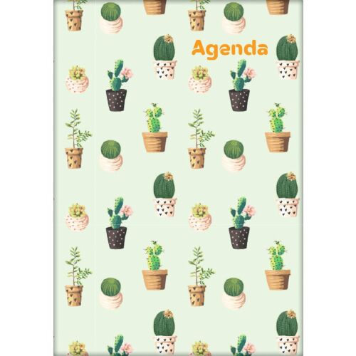 Dayliner 2027 agenda Colors A5 napi Cactus 180929701 - Naptár