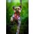 Egy kis Yorkshire terrier egy hozzá illő Ukory hámot visel élénk virágos és napraforgó mintával, látható pórázával, mohás fatörzsön ül egy buja zöld erdőben, bemutatva a terméket esztétikus környezetben