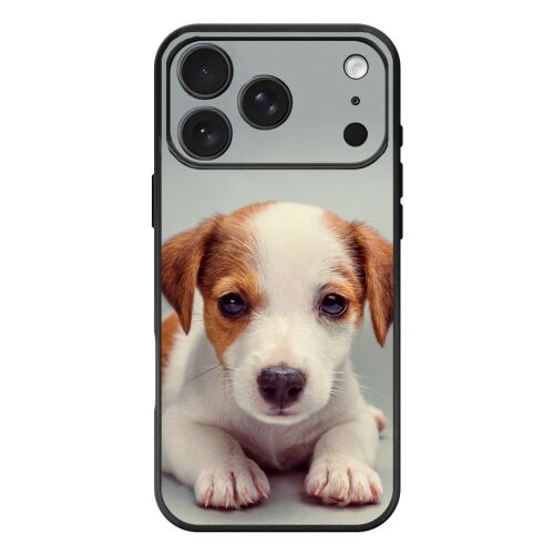Angyali Jack Russel Terrier - iPhone 17 Pro Max / 18 Pro Max MagSafe tok 181098664 - Telefontok