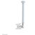 Neomounts FPMA-C100 76,2 cm (30") Ezüst 181109495