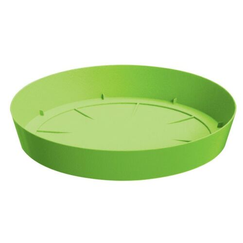Lofly csészealj PPLF305 Lime Prosperplast 181177443 - Virágalátét