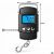 Digitális csomag- és horgászmérleg 50 kg 10 g, 100 cm mérőszalaggal, LCD 181243458