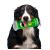PRINGLES Kutyajáték Green 181501749