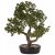 47 cm-es bonsai dísznövény cserépben, művirág, nagy fa 183362033