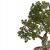 47 cm-es bonsai dísznövény cserépben, művirág, nagy fa 183362033