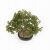 47 cm-es bonsai dísznövény cserépben, művirág, nagy fa 183362033