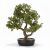 47 cm-es bonsai dísznövény cserépben, művirág, nagy fa 183362033