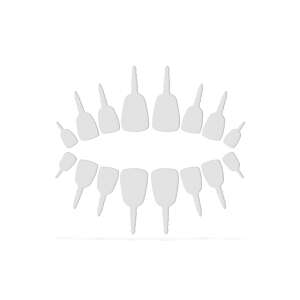 18 pack of white plastic Halloween pumpkin teeth - Halloween decoration
