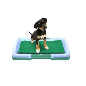 Namvi Puppy Potty Pad kölyökkutyával rajta - Namvi