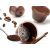 Set de 5 capsule reutilizabile de cafea Dolce Gusto 46070254