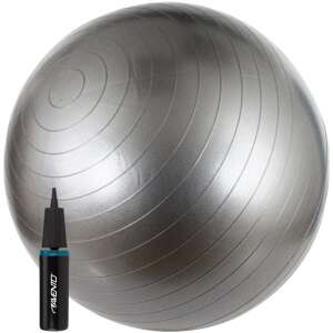 Gymnastická lopta Avento ABS Fitball Silver s pumpou, 65 cm, strieborná 46140930 Fitness lopty