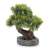 Élethű mű bonsai fa, 20 cm 71504610}