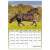 Calendar de perete cu poză 230 × 330 mm cai b4 dayliner 2023. 70521850}