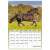 Calendar de perete cu poză 230 × 330 mm cai b4 dayliner 2023. 70521850}