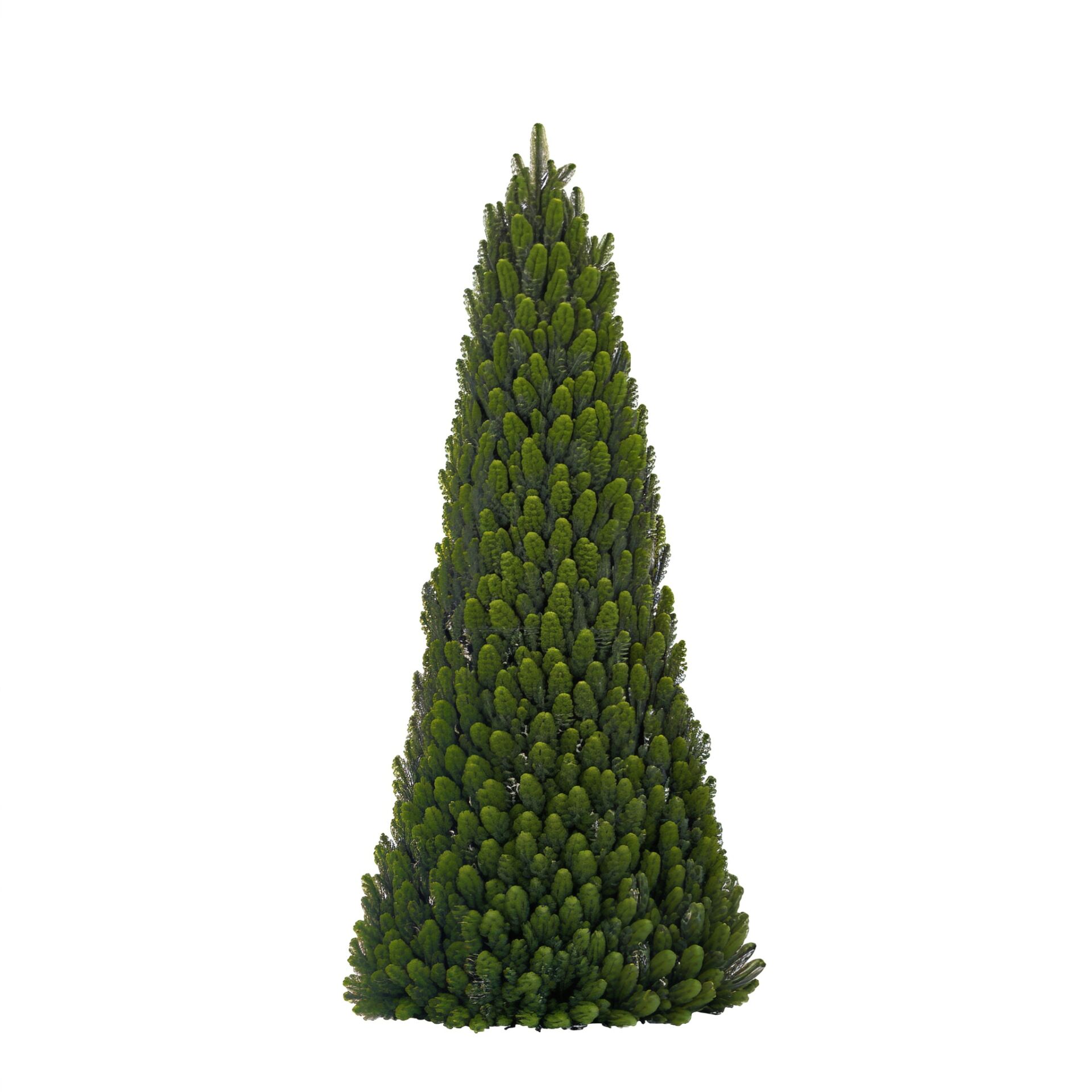 E-shop Pepita VRP Slim Deluxe Wall Artificial Pine - Viac veľkostí