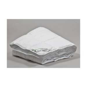 Plapumă dublă de iarnă Aloe vera 200x220cm