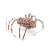 3D drevený mechanický model pavúka Wood Trick 47859208}