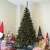 Springos 250 cm artificial Christmas tree, Caucasian spruce, realistic look, with stand