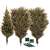 Springos 250 cm artificial Christmas tree, Caucasian spruce, disassembled parts, stand, branches